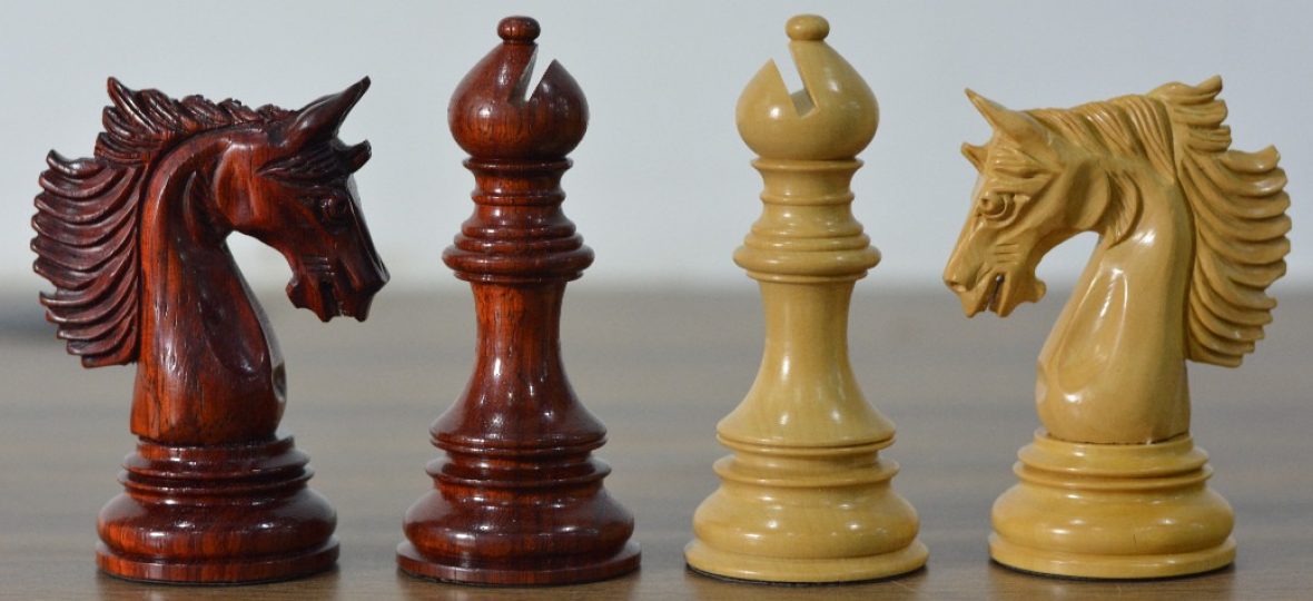 Garry Kasparov – Escola De Xadrez